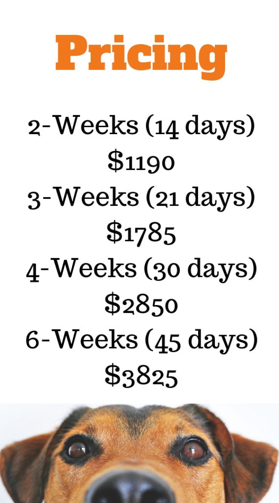 Average cost to board and train a outlet dog